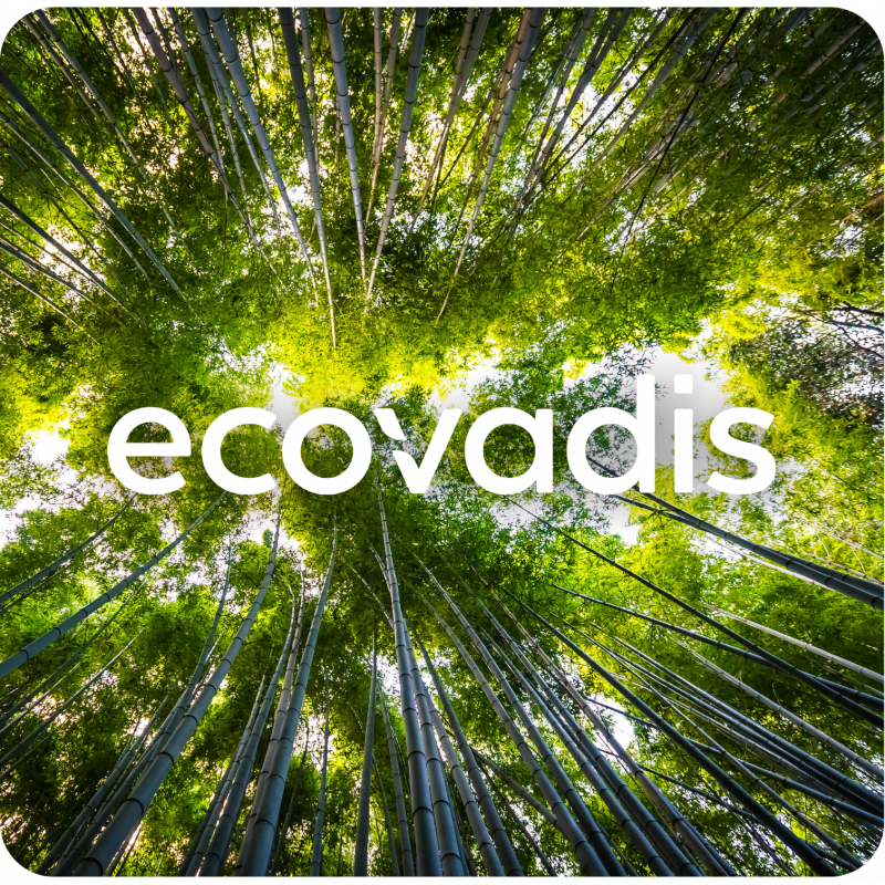 TETRADIS continues on its CSR trajectory!