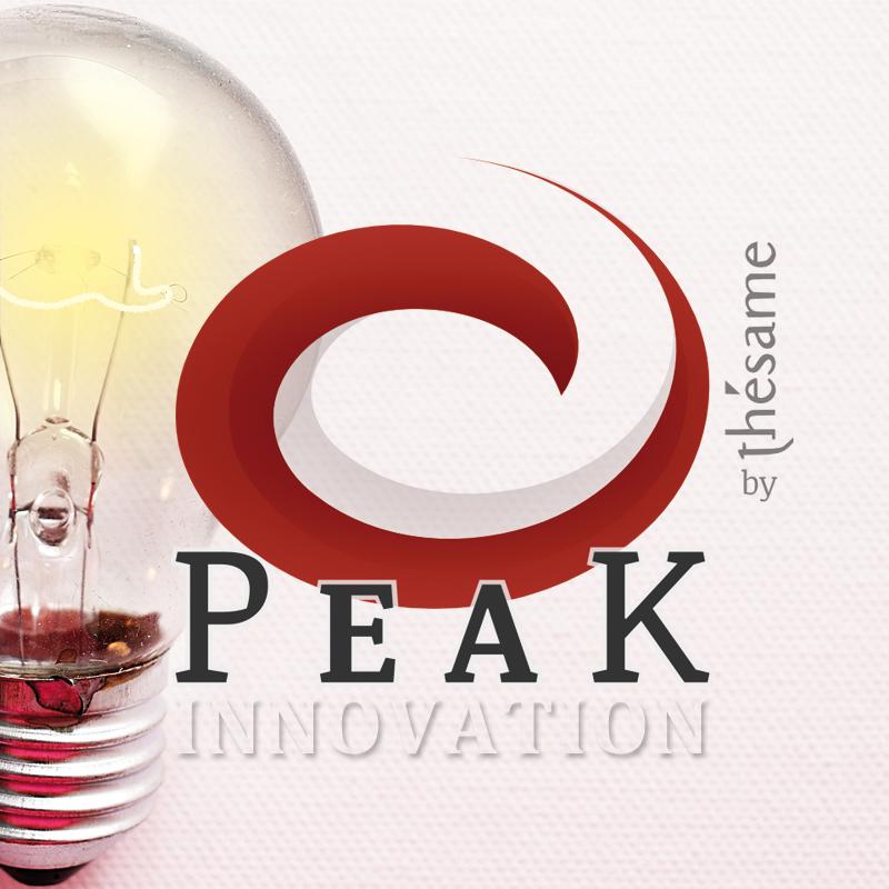 Programme PEAK Innovation